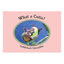 What A Cutie Bug Business Card