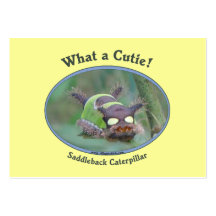 What A Cutie Bug Business Card Templates