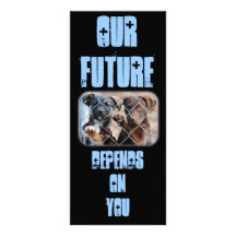 What About Us?  Rack Card