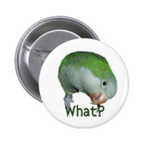 What? buttons