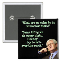 What do you want to do tommorrow? pinback button