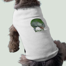 What? pet clothing