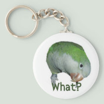 What? keychains