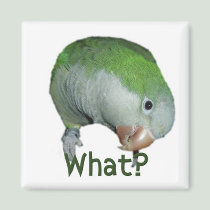 What? magnets