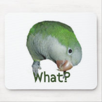 What? mousepads
