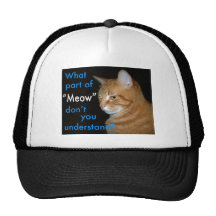 What Part of "Meow" Don't You Understand