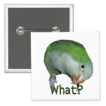 What? buttons