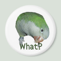 What? magnets