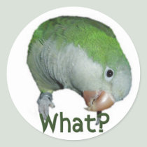 What? stickers