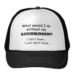 What Would I Do, Accordion