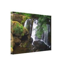 Whatcom Falls Canvas Print