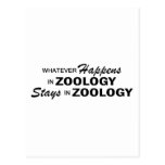 Whatever Happens - Zoology Post Cards