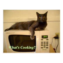 what's cooking Postcard