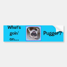 What's Goin On Pugger? Bumper Sticker