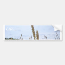 Wheat Plant Bumper Stickers