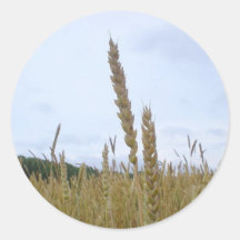 Wheat Plant Stickers
