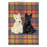 Wheaten and Black Scottish Terriers Greeting Cards