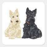 Wheaten and Black Scottish Terriers Square Stickers