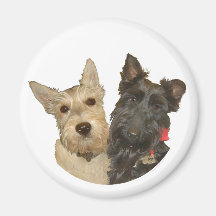 Wheaten & Black Scottish Terriers Magnets
