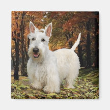 Wheaten Scottish Terrier Autumn Fridge Magnet