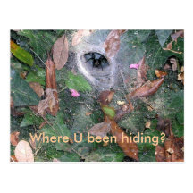 Where U been hiding? Postcard