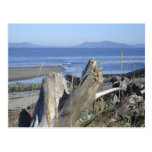 Whidbey Island 4 Postcard