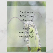 Whimsical Young Monarch Butterfly Caterpillar Full Color Flyer
