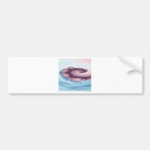 Whirlpool (B) Bumper Sticker