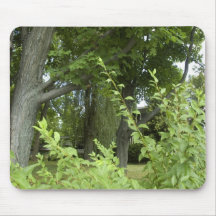 Whispering Greens - the Mystery Beyond Mouse Mat