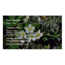 white American Strawberry (Fragaria Vesca Var. Ame Business Card Templates