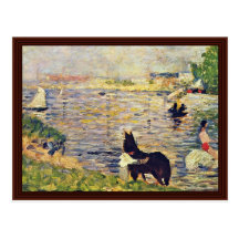 White And Black Horse In The River Post Card