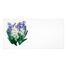 White and Purple Hyacinths Customized Photo Card