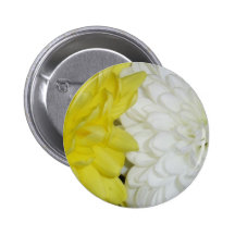 white and yellow chrysanthemums pins