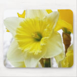 White And Yellow Daffodil Mousepads