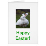 White Angora Bunny Rabbit Easter Card