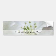 White Apple Blossom Close-Up Bumper Sticker