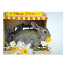 white Apricot and Blue Rex rabbits flowers Personalized Invitations