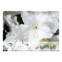White Azalea - Save the date - Announcement