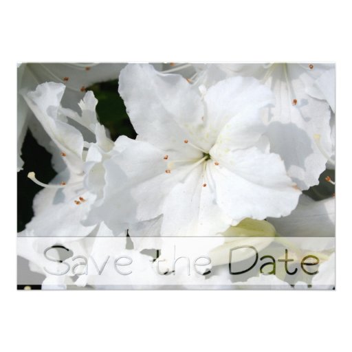 White Azalea - Save the date - Announcement