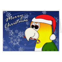 White Bellied Caique Christmas Card