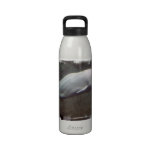 White Beluga Whales Water Bottle water bottles