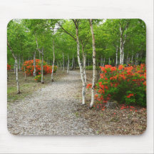 White birch and azalea bloom マウスパッド
