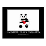 White Black Asian Panda Postcard postcards