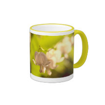 White Bleeding Hearts Photo Coffee Mugs
