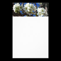 White Blossom Clusters Stationery stationery
