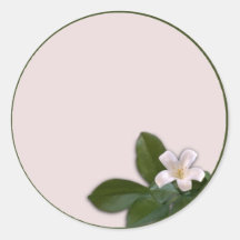 White Blossom Round Stickers