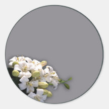 White Blossom Sticker