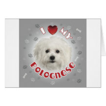 White Bolognese Greeting Cards