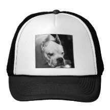White Boxer Dog cap Trucker Hat
