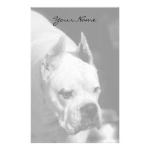 White Boxer Stationary Customized Stationery